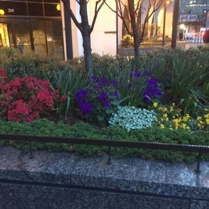 Meet your Posher, Naima